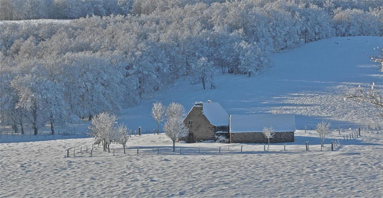 Aux Portes D'Aubrac Studio 2 Personnes Bed and Breakfast Condom-d'Aubrac Exterior foto