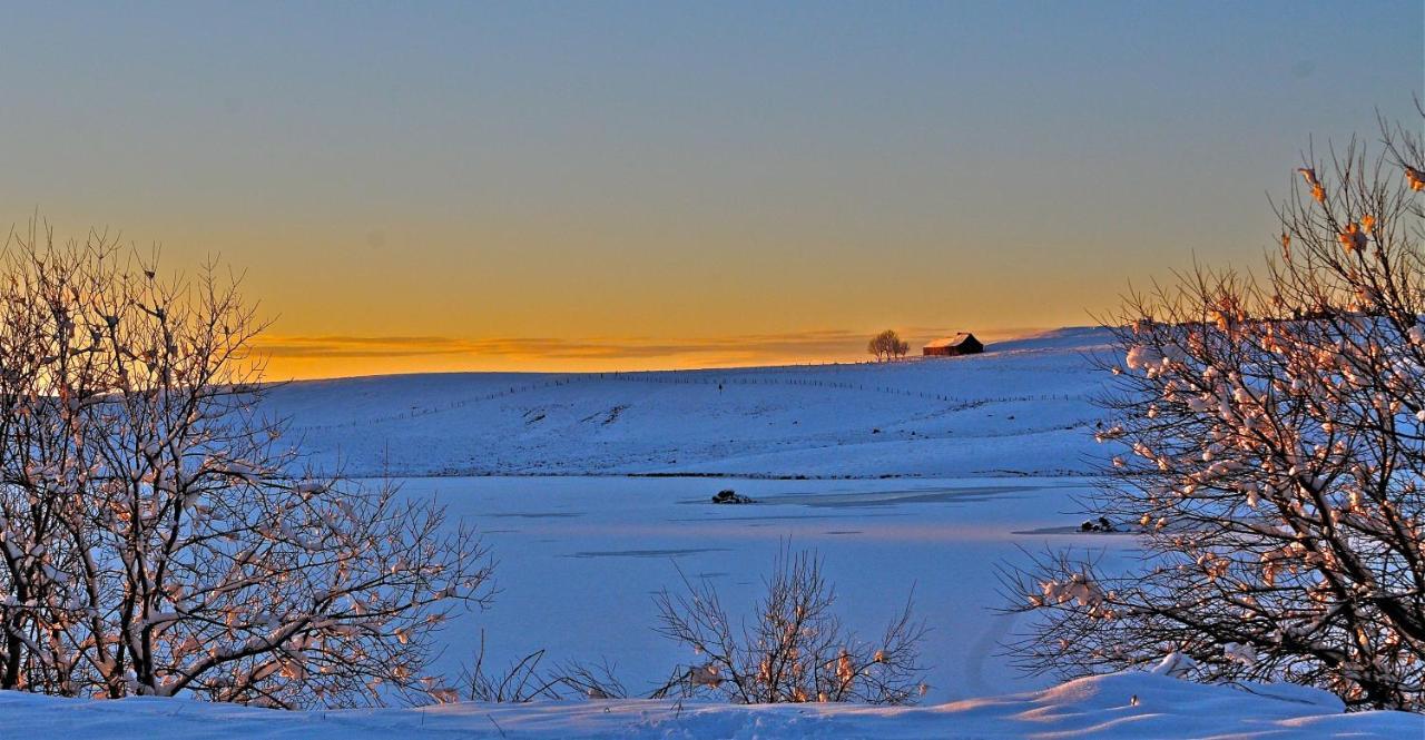 Aux Portes D'Aubrac Studio 2 Personnes Bed and Breakfast Condom-d'Aubrac Exterior foto